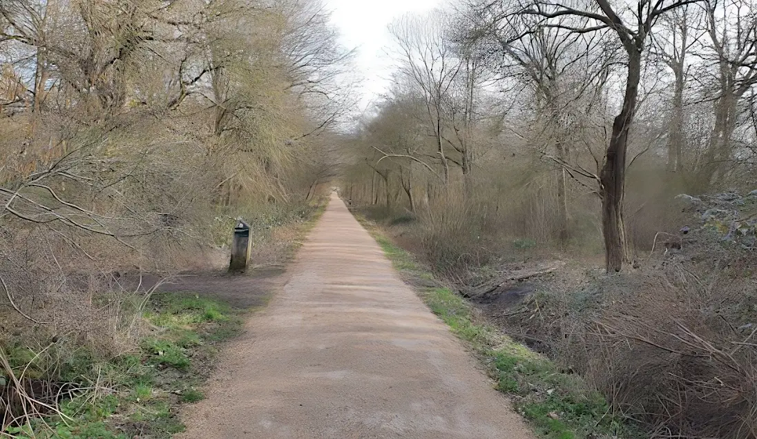 Howe Park Wood